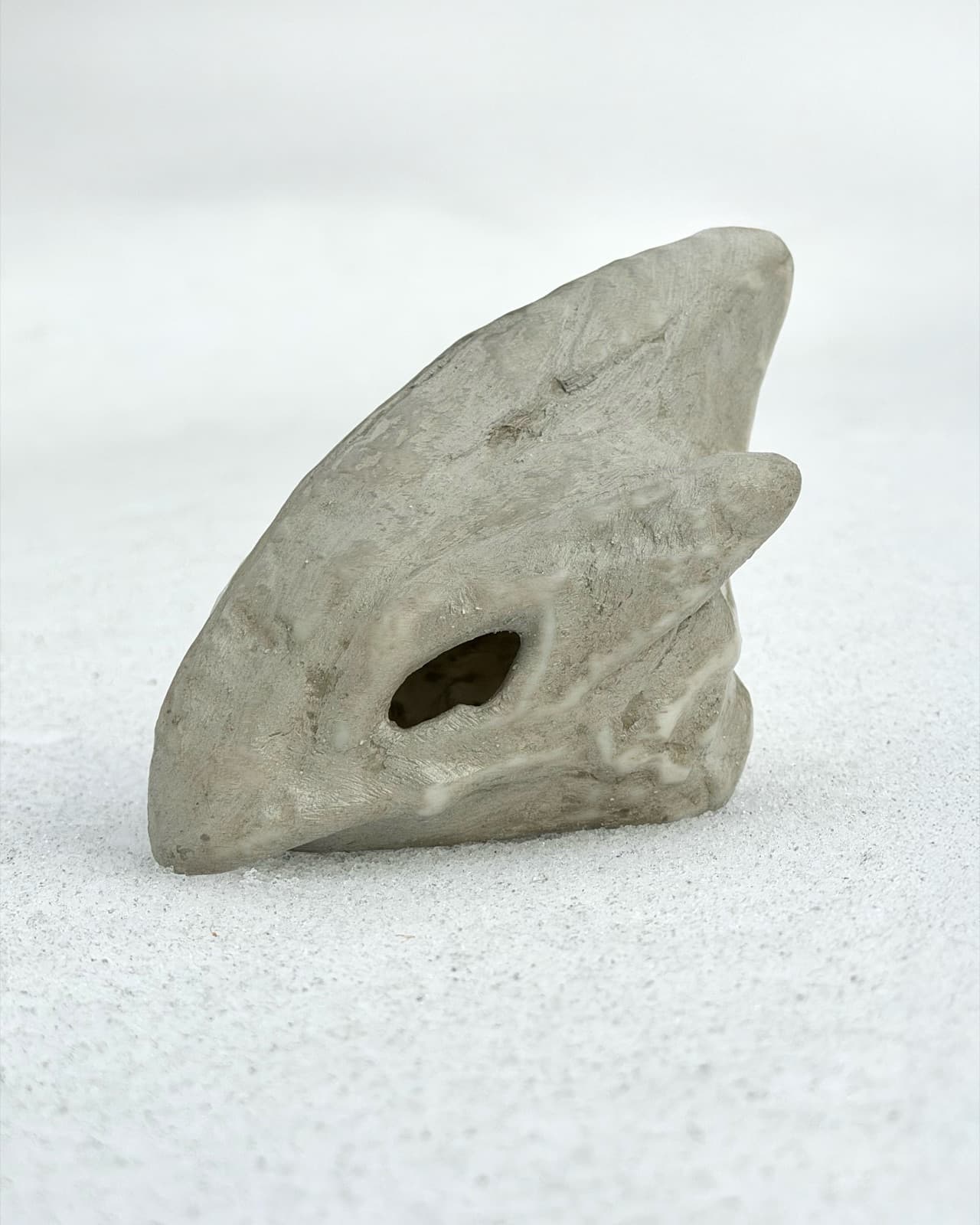 Ancient Lugia Fossil Skull